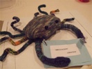 Annscrab3409