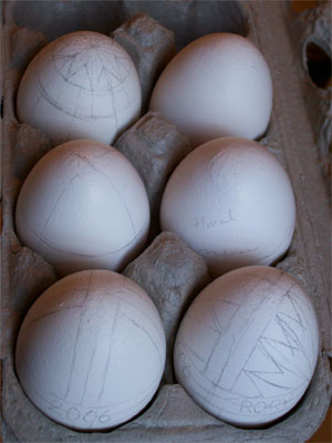 Eggswithpencils0104