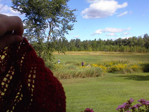 Fieldofdreams