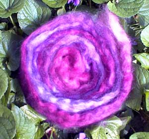 purpleroving