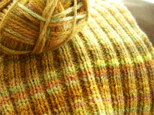 Newsweatdia09